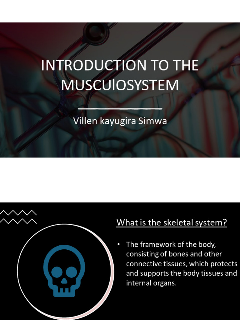 Musculoskeletal System | PDF