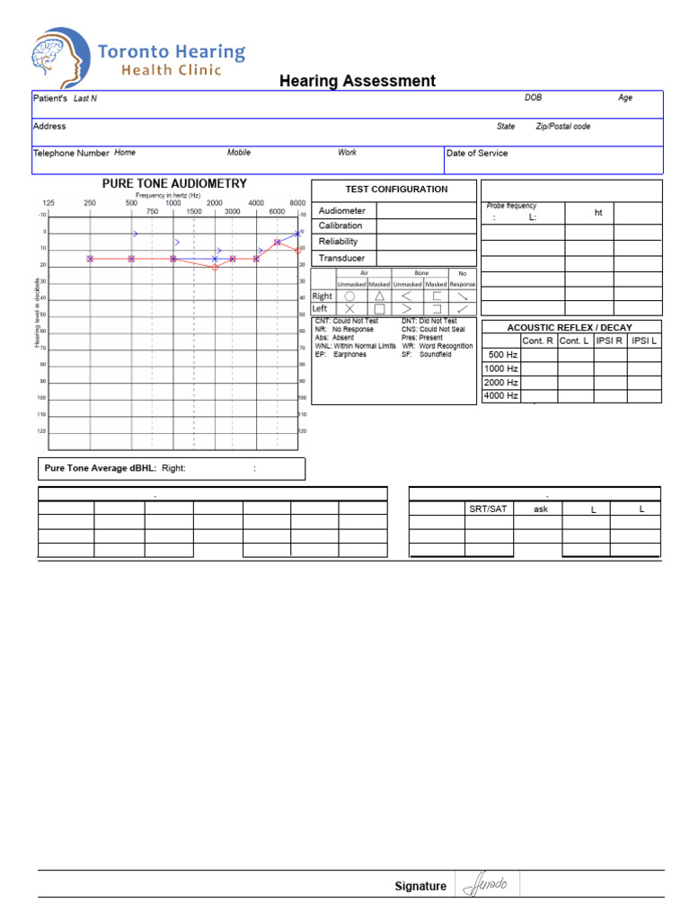 Aud Report | PDF | Otorhinolaryngology | Acoustics