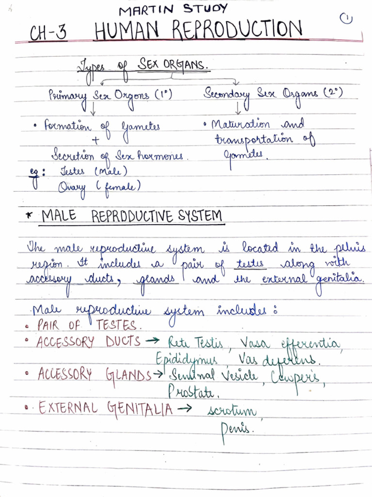 Biology Ch 3 | PDF