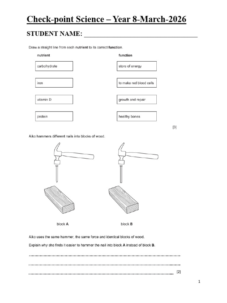 y8 Lps Science | PDF