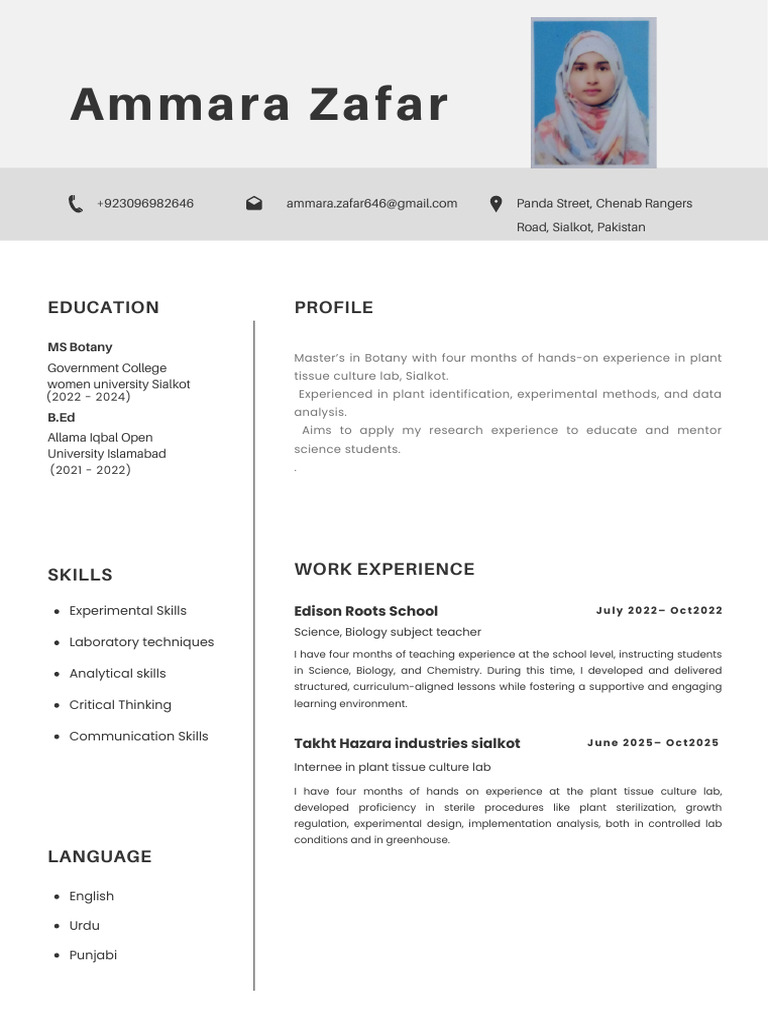 Minimalist Modern Professional CV Resume | PDF