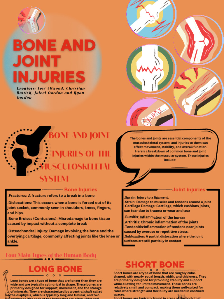 Bone and Joint Injuries (2) | PDF | Anatomical Terms Of Motion | Joint