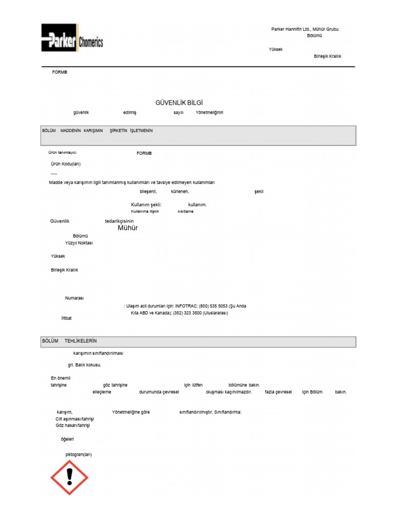 Cho+Form+5528+(2021) Turkish | PDF
