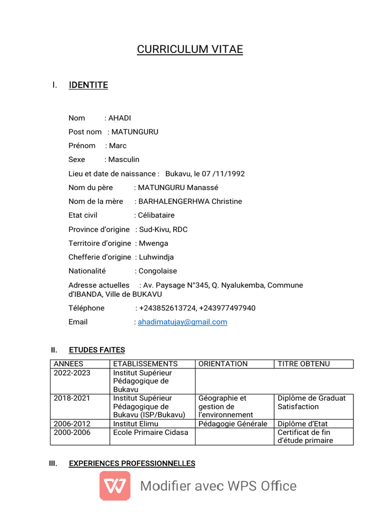 Cv Marc Bien | PDF