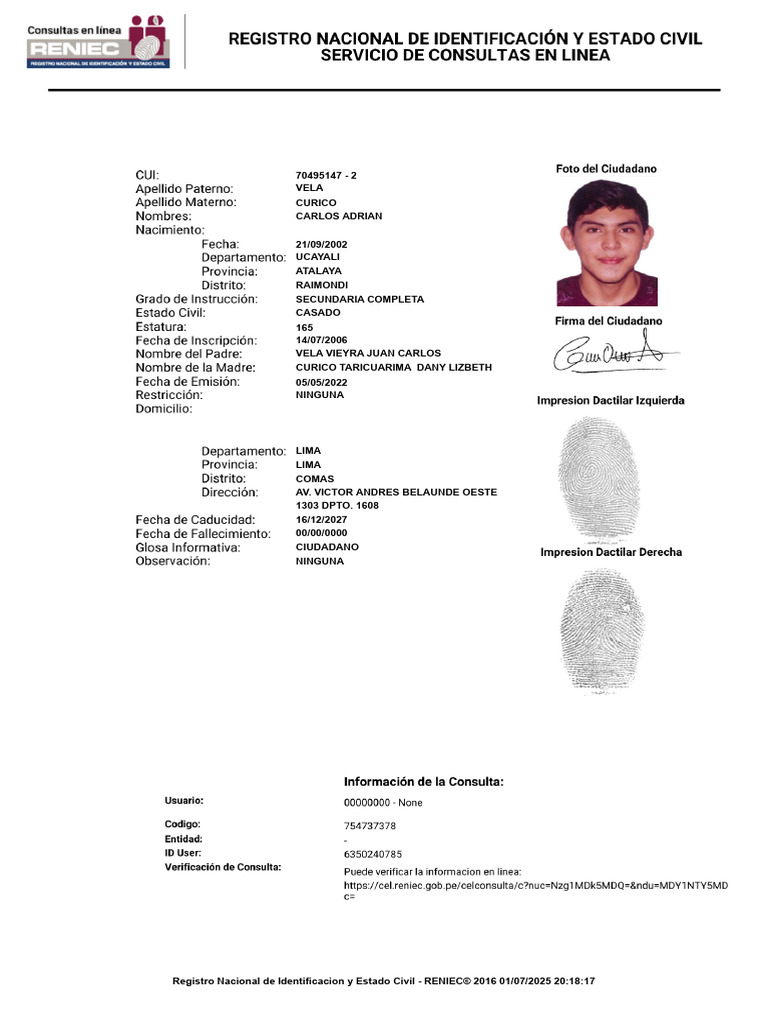 Ficha Reniec | PDF