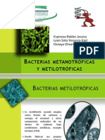 Bacterias metanotrófcas y metilotróficas