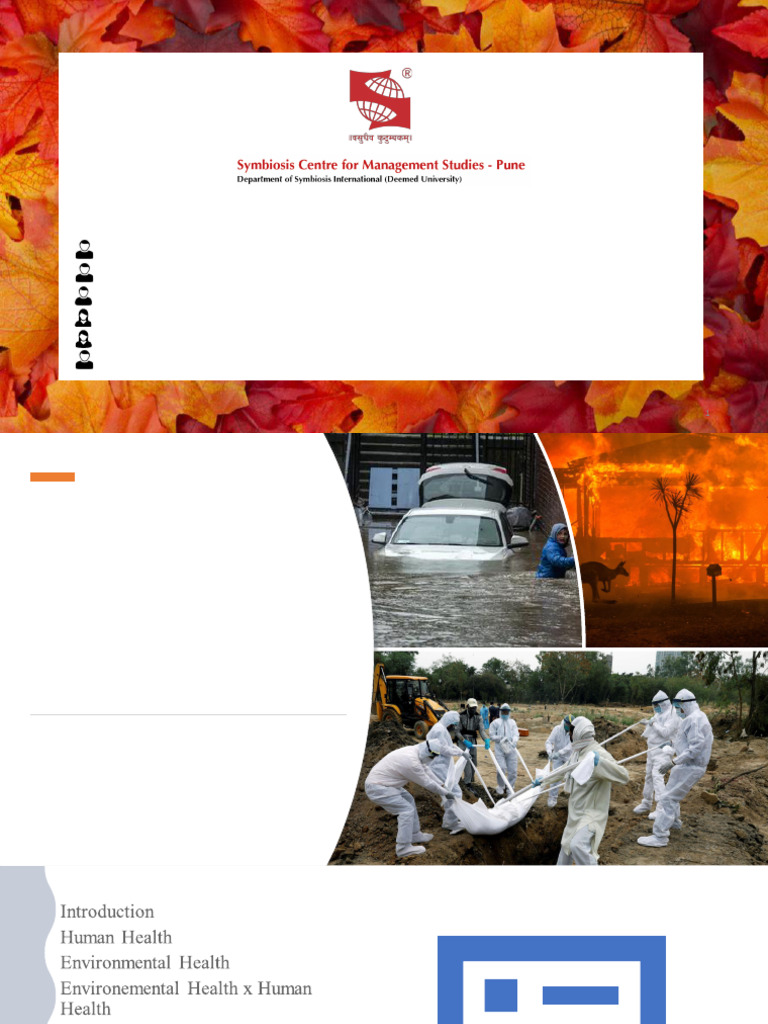 Environmental and Human Health | PDF | Pollution | Environmental Health