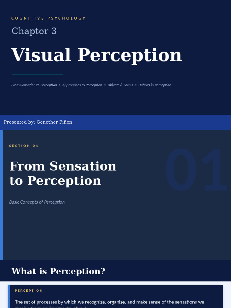 Visual Perception | PDF | Perception | Senses