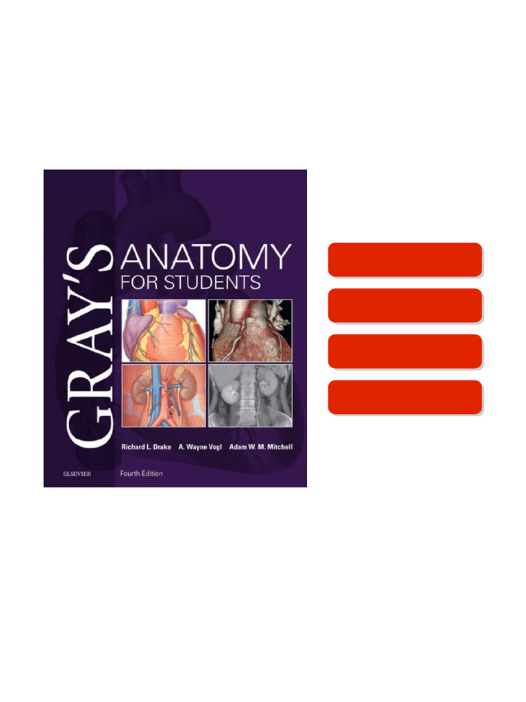 Grays Anatomy For Students 4th Edition Richard L. Drake - Full