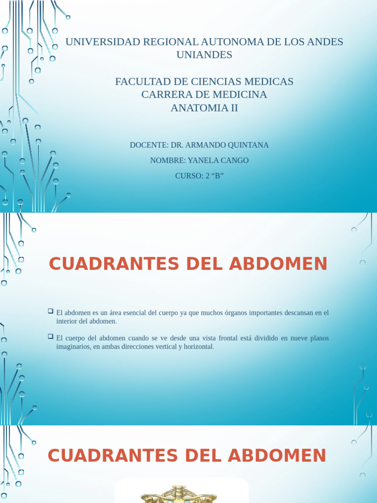 cuadrantes-151024230345-lva1-app6892 | PDF | Abdomen | Peritoneo