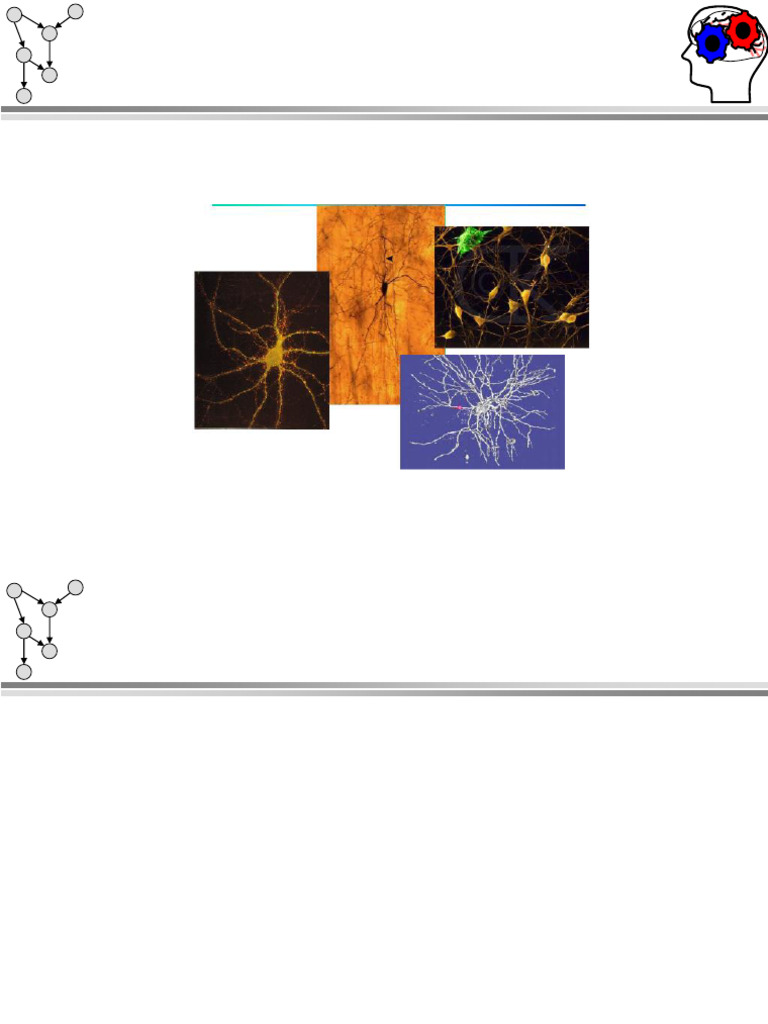 Cours Réseaux de Neurones. | PDF | Neurone | Intelligence artificielle