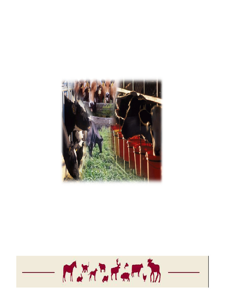 Microbiologia Del Rumen | PDF | Glucosa | Las bacterias