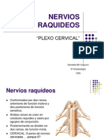 PLEXO CERVICAL: ESTRUCTURA Y FUNCIONES PRINCIPALES