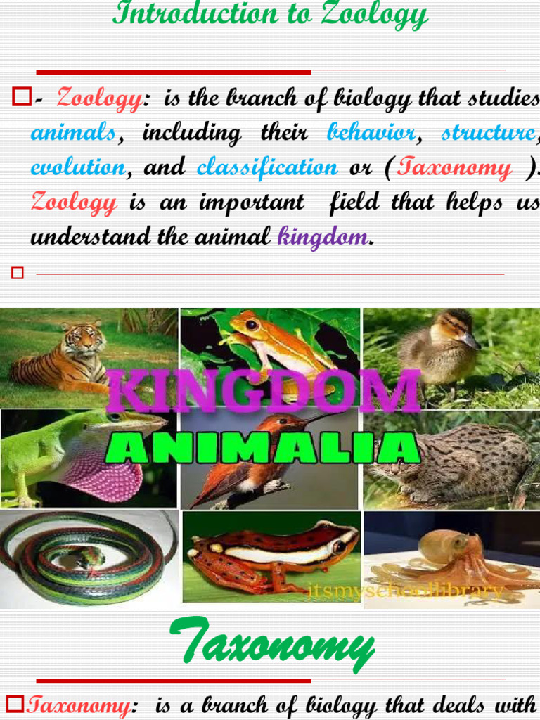 1 Introduction To Zoology | PDF | Zoology | Taxonomy (Biology)