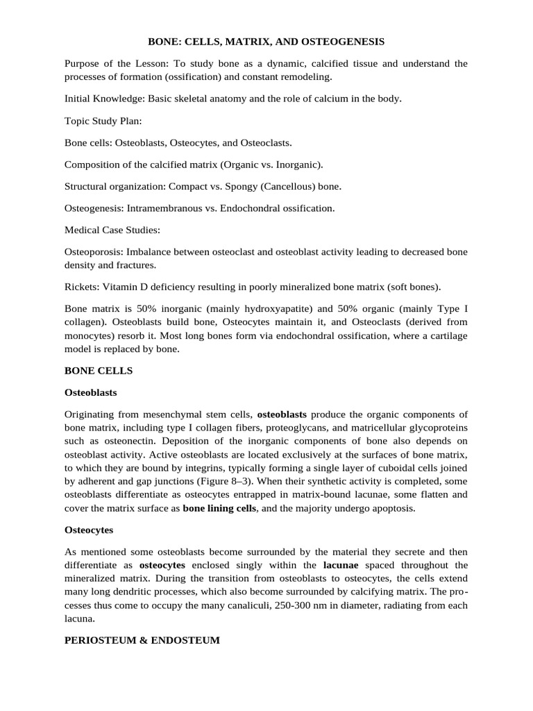 Bone Bone Cells Bone Matrix Periosteum, Endosteum Types of Bone | PDF ...