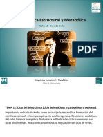 Tema 12. Ciclo de Krebs