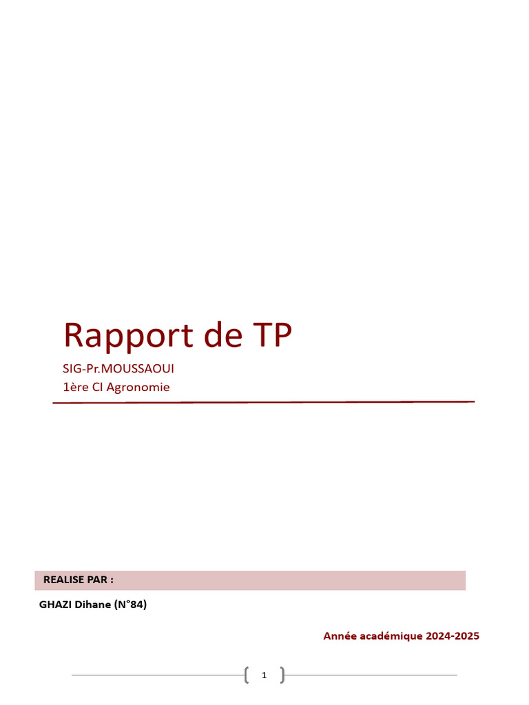 Rapport de TP | PDF | Système d'information géographique | Informatique