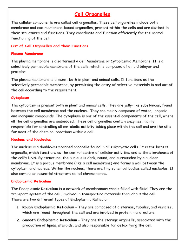 Cell Organelles | PDF | Cell (Biology) | Cell Membrane