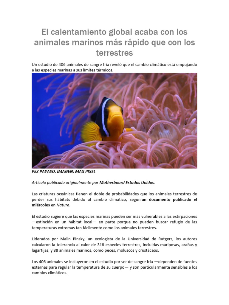 El Calentamiento Global Acaba Con Los Animales Marinos Más Rápido Que ...