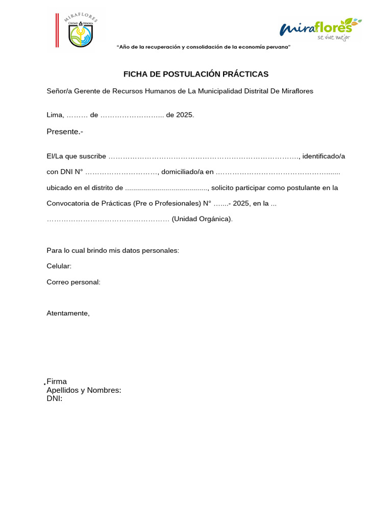 Ficha de Postulacion Practicas MM 2025 | PDF