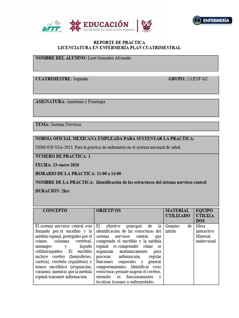 Reporte Sistema Nervioso Central | PDF | Sistema nervioso central | Cerebro