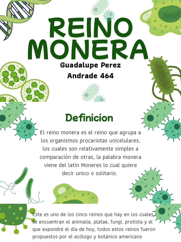 Reino monera | PDF