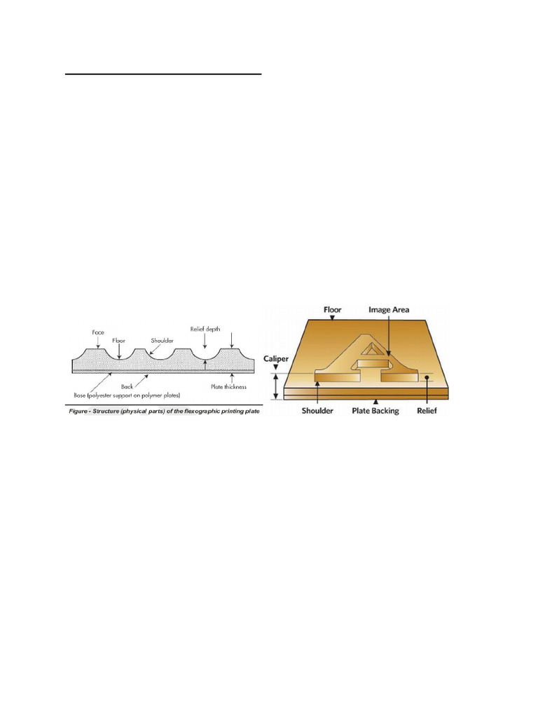 1_3 Typesof Plates NOTES | PDF | Applied And Interdisciplinary Physics ...