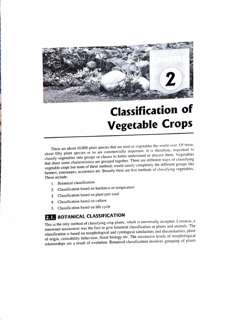 Classification of Vegetable Crops | PDF