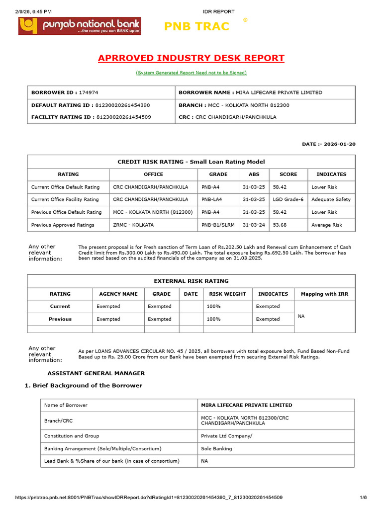 Idr Report Mira | PDF | Loans | Credit