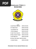 Download Makalah Bleaching by Elvira Dwijayati SN102452731 doc pdf