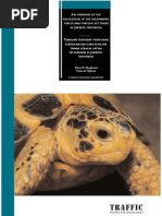 Download Traffic Species Reptiles12 by Aditya Mehta SN102452903 doc pdf