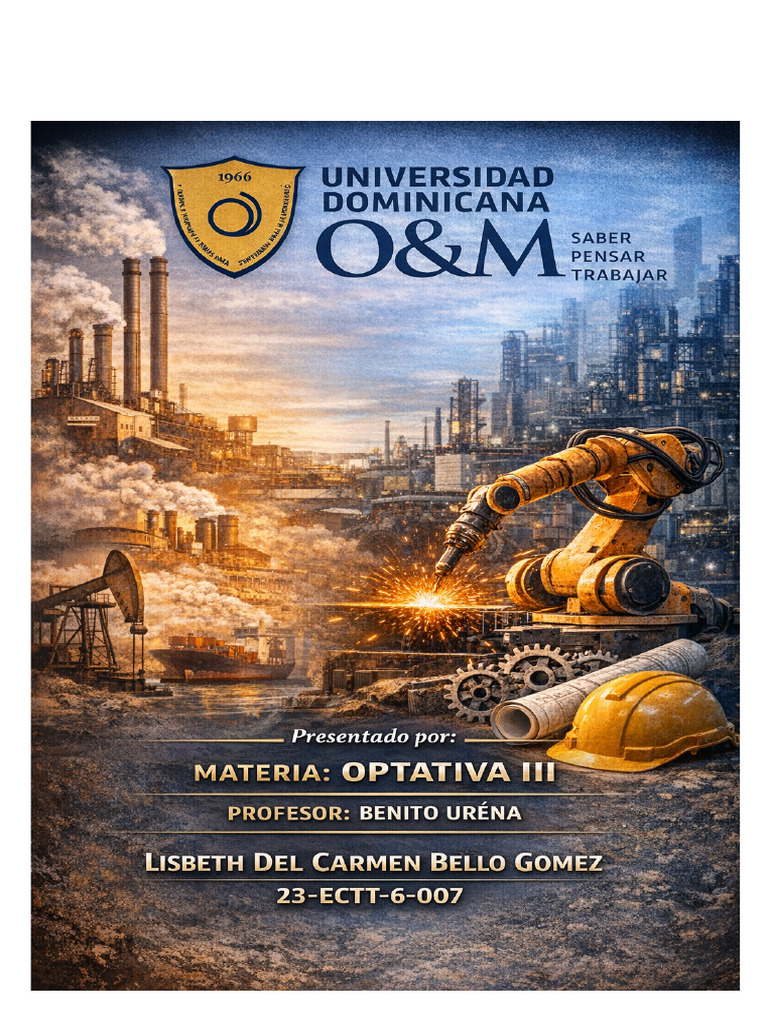 Optativa 3 | PDF | Business | Diseño