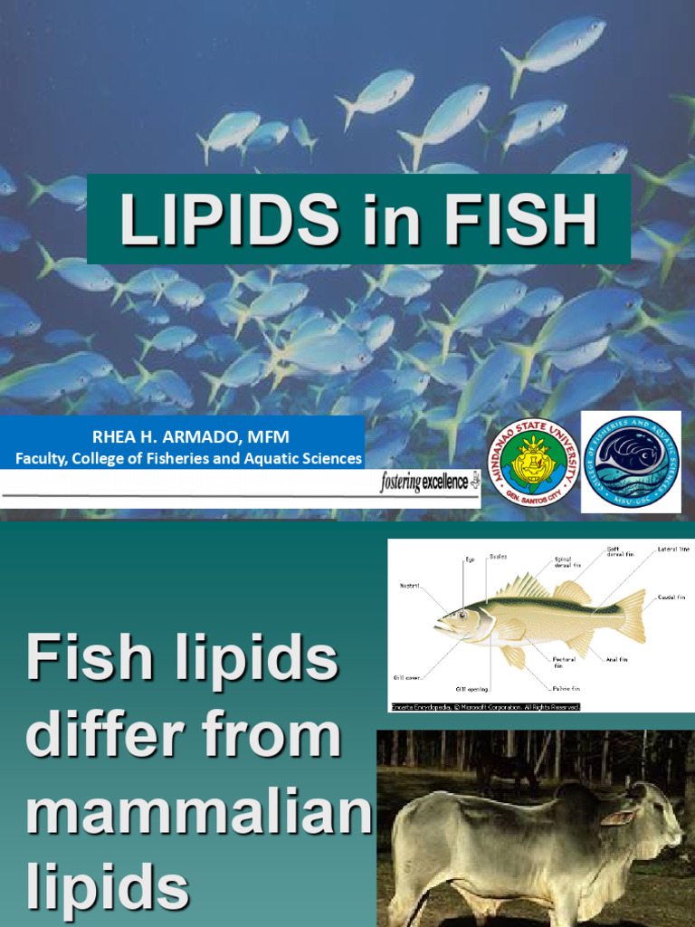 Lipids in Fish | PDF