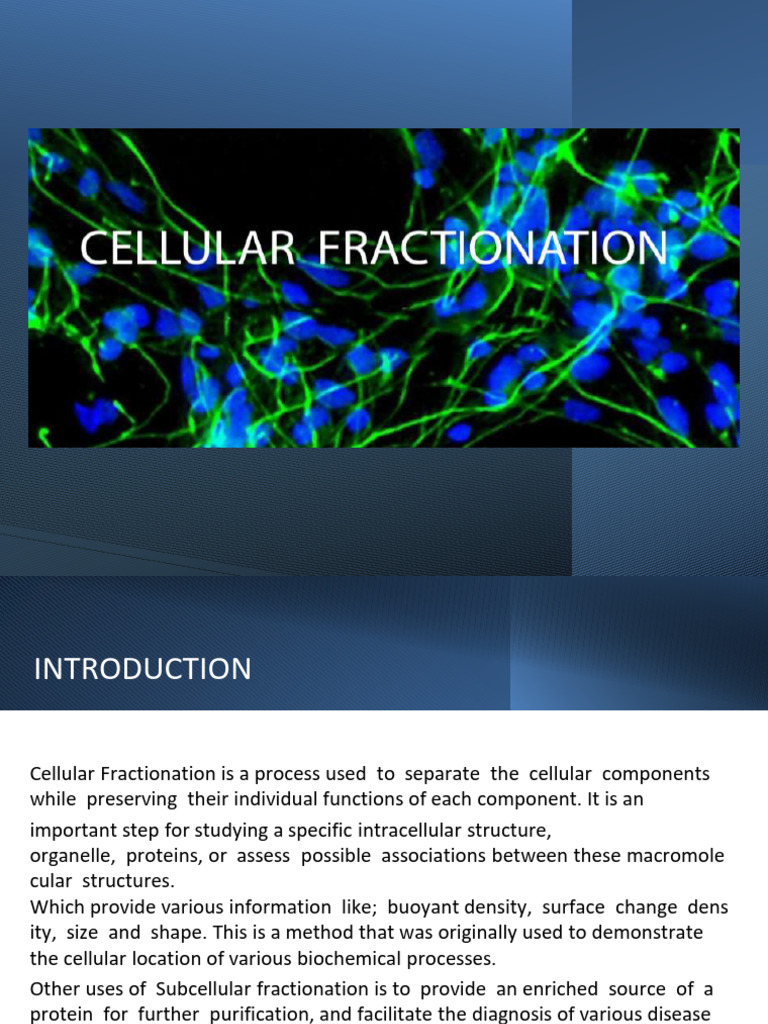 Cellular Fractionation | PDF | Centrifugation | Cell Biology