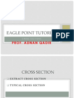 Eagle Point Tutorial - Cross Section