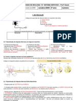 Material Apoio Sistema Nervoso GABARITO