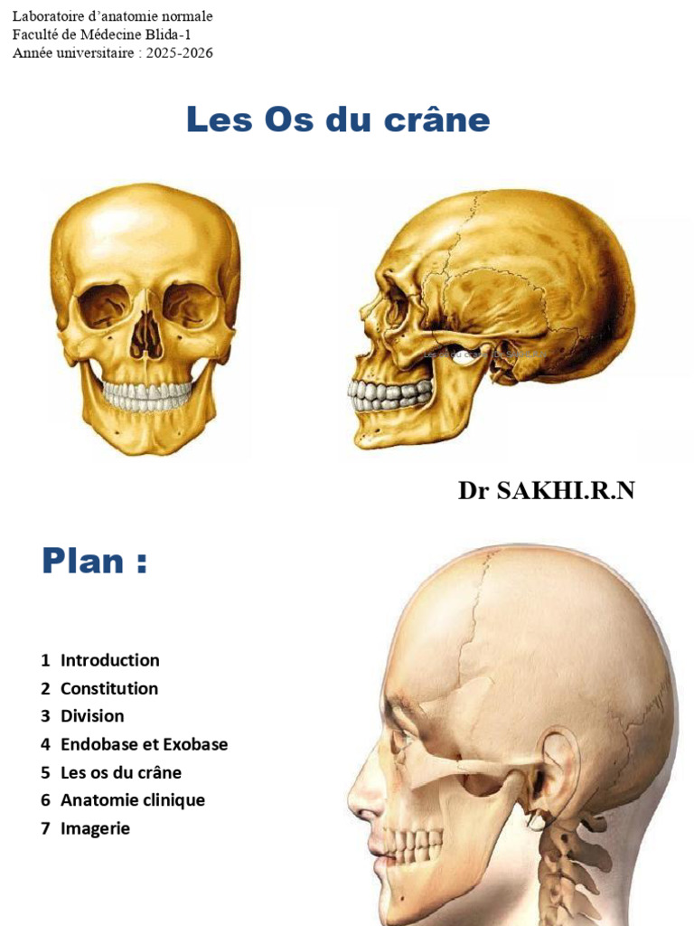 2-Anatomie Des OS Du Crane | PDF | Otorhinolaryngologie | Crâne