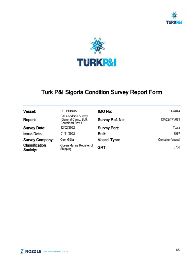DELPHINUS - P&I Condition Survey - Defect List - 05.06.2023 | PDF