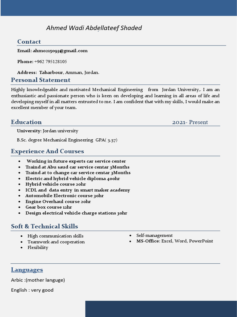 CV 2 | PDF