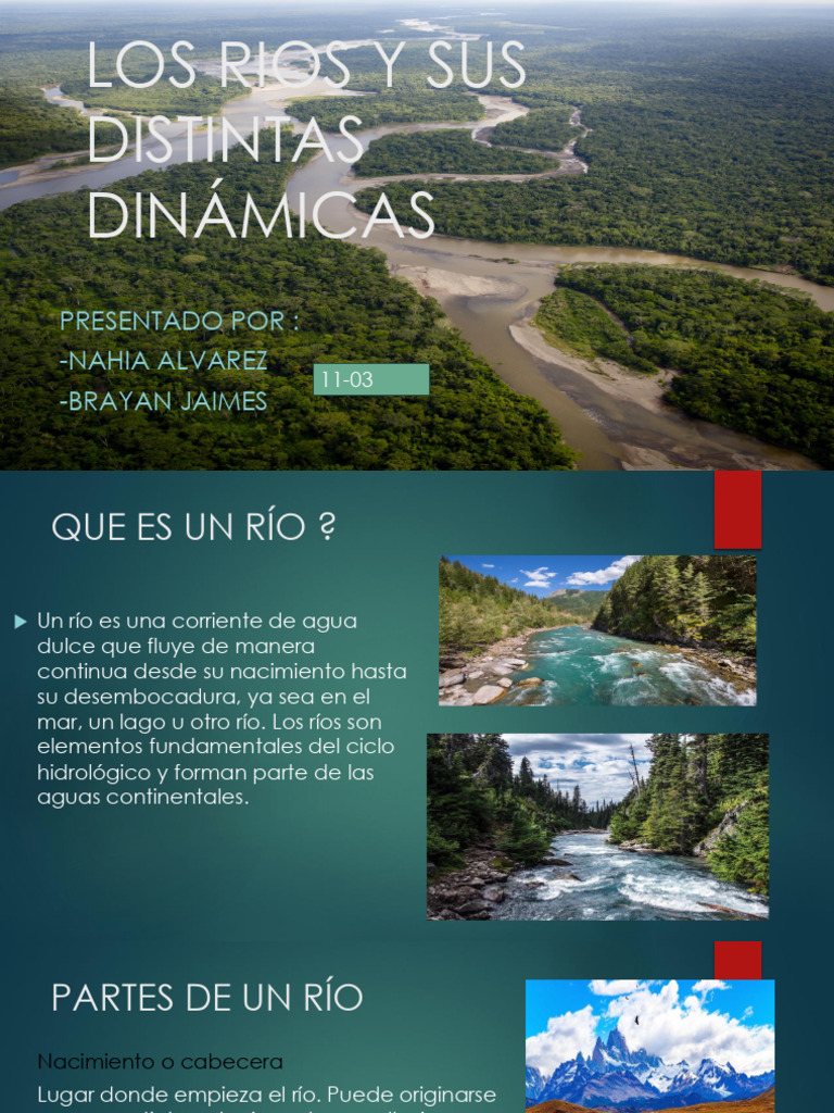 Los Rios y Sus Dinámicas | PDF | Río | Ecología