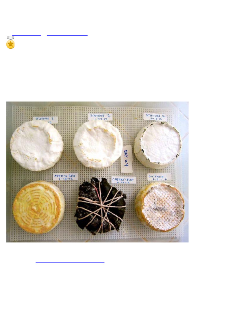 Steps in Cheese Making | PDF | Cheese | Cheesemaking
