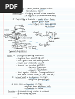 Free O Level Notes Collection | PDF