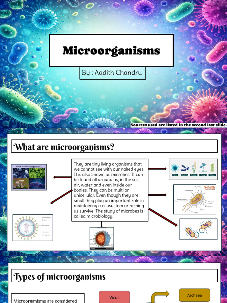 Micro Organ I Sims | PDF | Microorganism | Bacteria