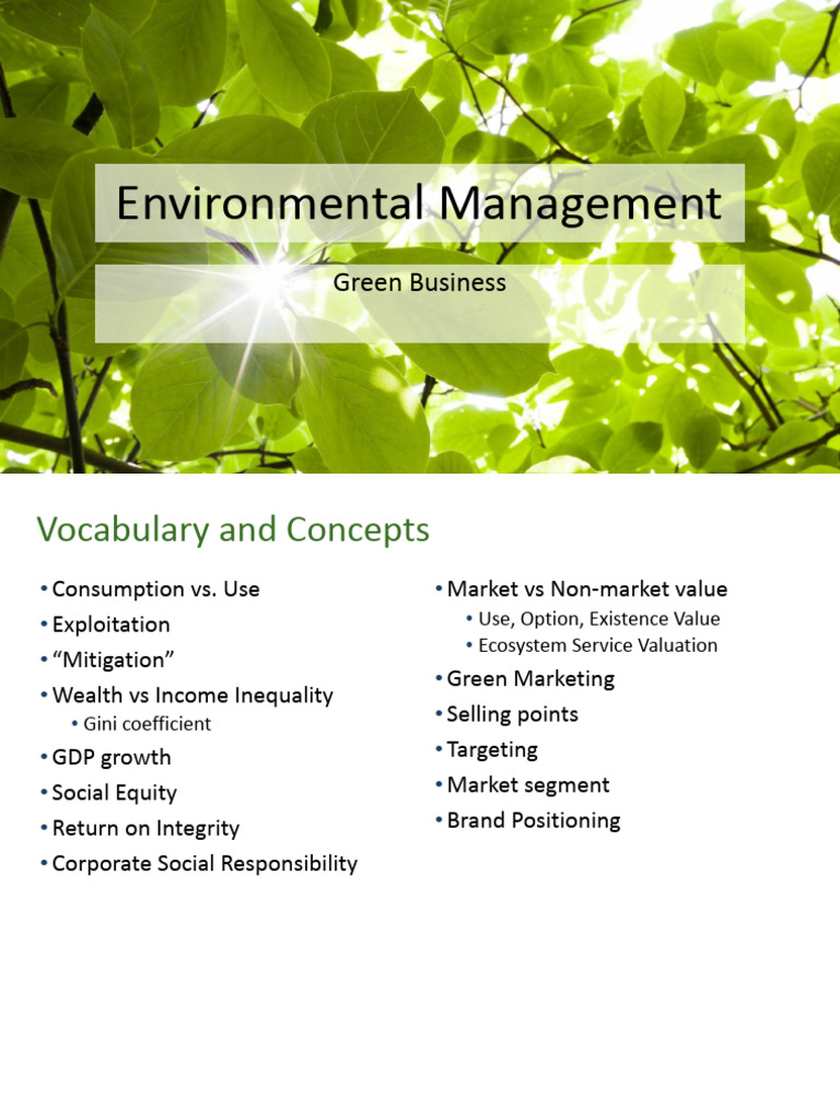 13 - Green Business- Design- And Responsibility.pptx | PDF ...