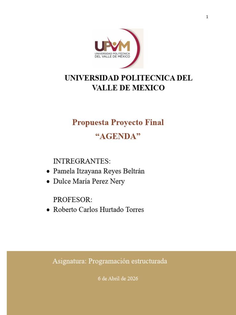 Proyecto Final | PDF | Programación | Programa de computadora