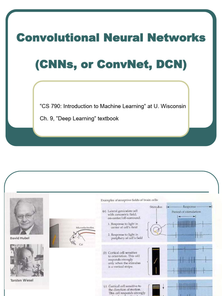 L7-ConvolutionalNetworks_2026 | PDF | Visual Cortex | Machine Learning
