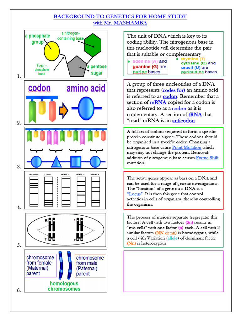GENETICS BACKGROUND PDF | PDF | Dominance (Genetics) | Zygosity