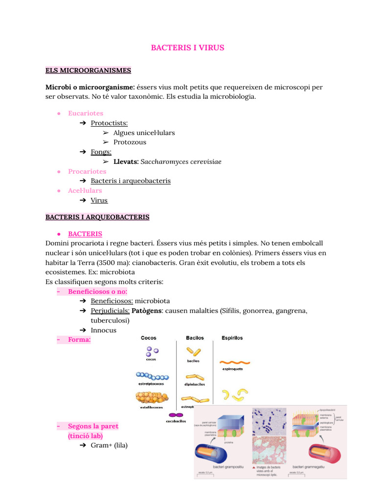 Bacteris i Virus | PDF