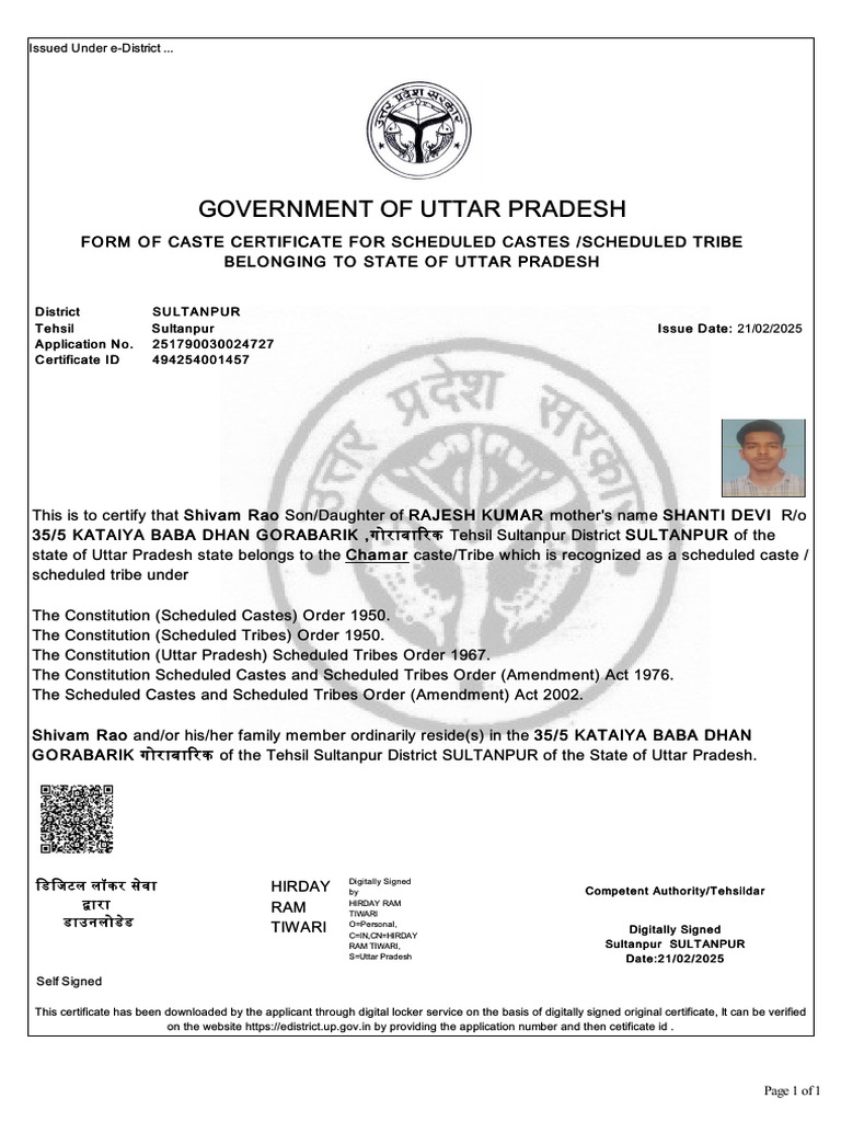 Cast Certificate English | PDF | Social Groups Of India | Dalit