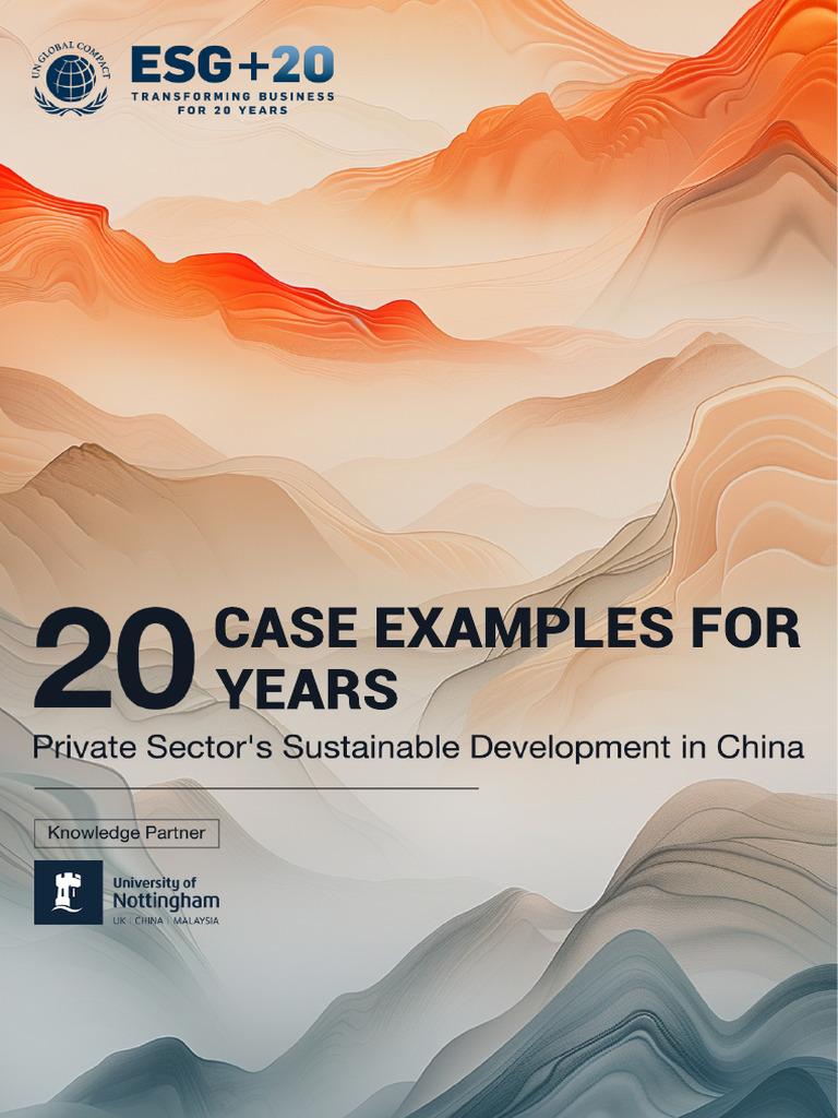 20 Cases Examples for 20 Years Private Sector_s Sustainable Development ...